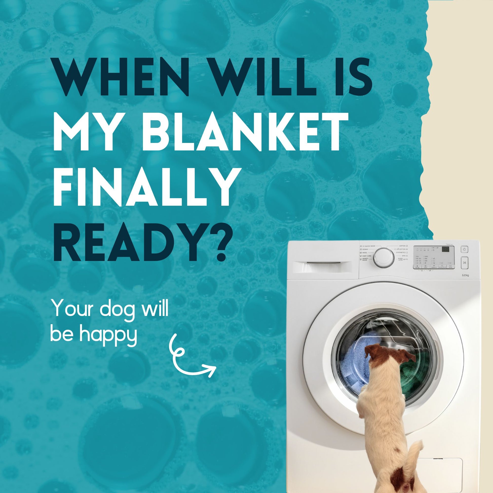 Detergente Para Ropa De Perro - Nimo - 5 L_3