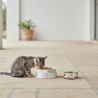 Dibaq Natural Moments 5 Star Gatito Pollo Con Salmón, 12 Latas X 70gr_4