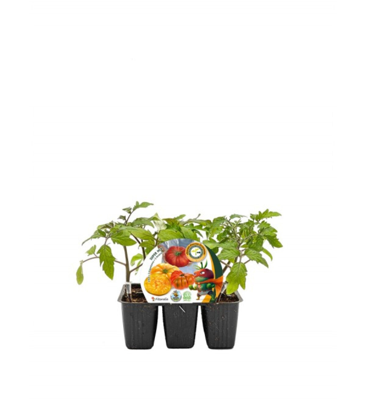 Pack Plantones Tomates Super Mix Injertados E Hibridos 6 Ud. Natural - Fitoralia_0