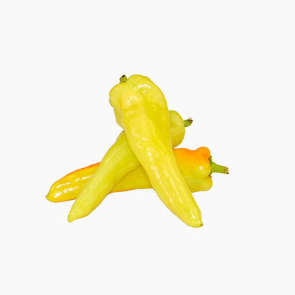Plantón Pimiento Largo Amarillo 6 Unidades - Plantabo_1