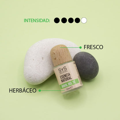 Esencia Natural Árbol de Té SYS Aromas 12 ml | Aroma Fresco y Herbal | Para Quemadores y Humidificadores_1