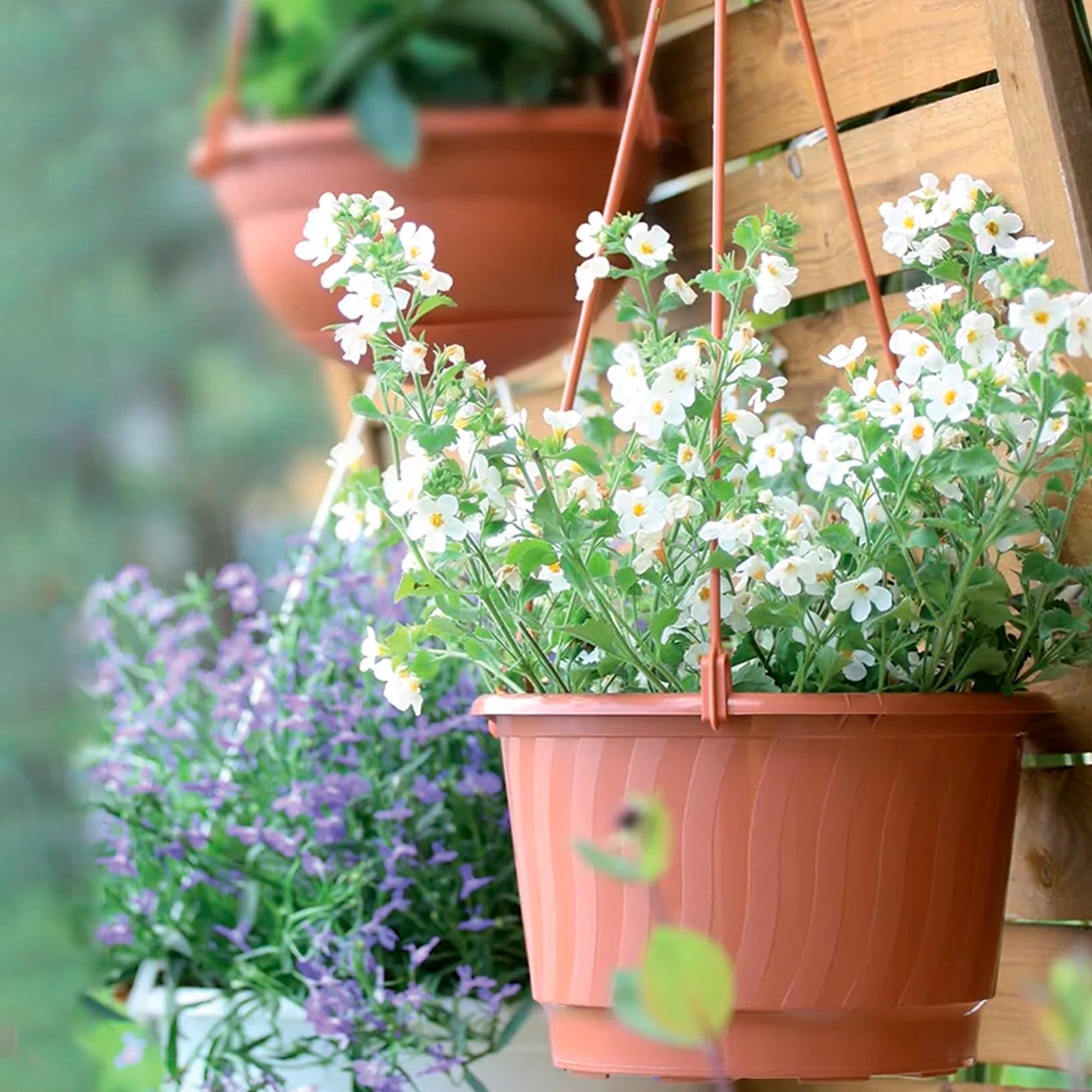 Macetero Colgante Pro 6,5l., Dimensiones (mm) 270x270x165, Color Blanco_4