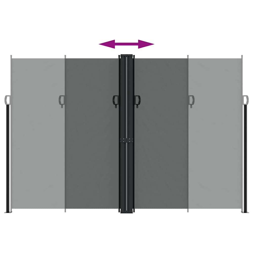 Vidaxl Toldo Lateral Retráctil Antracita 220x1000 Cm_4