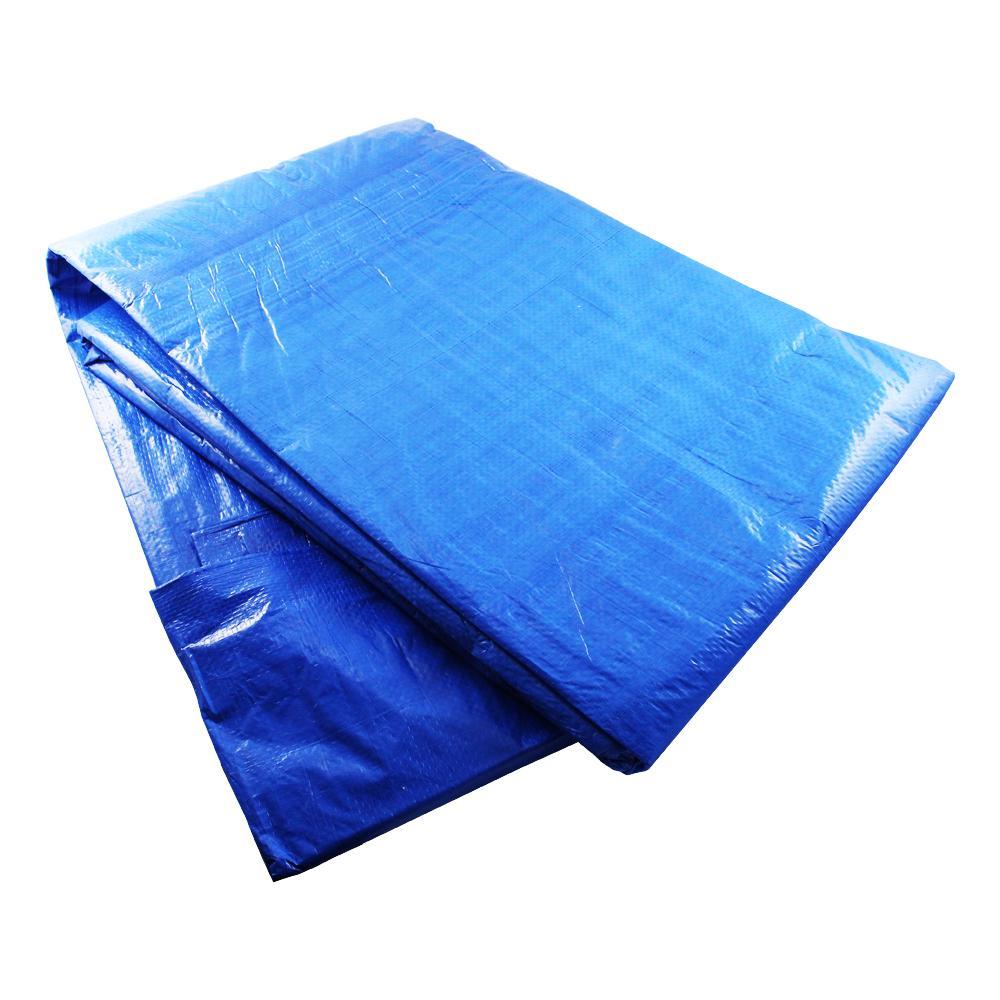 Toldo Rafia 2,90x5,90 Azul C/ Ollaos (3x6 M)_0