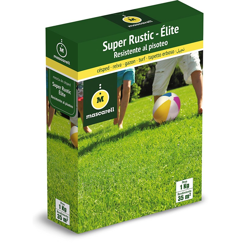 Césped Mezcla Super Rustic Élite_0