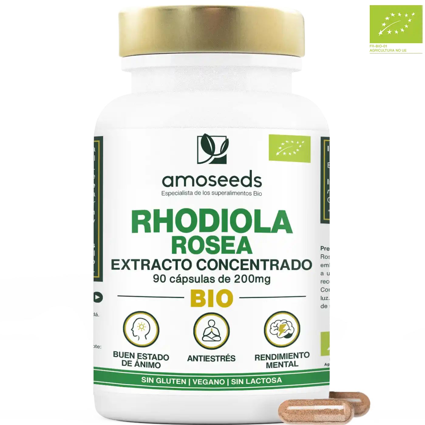 Rhodiola Rosea Bio, Extracto Concentrado | 90 Cápsulas_0