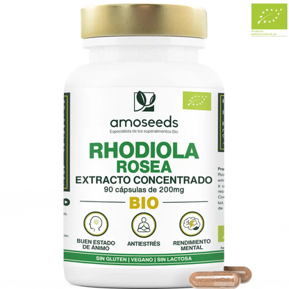 Rhodiola Rosea Bio, Extracto Concentrado | 90 Cápsulas_0