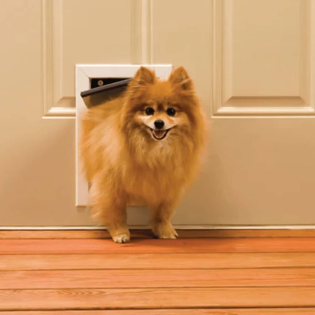 Petsafe Puerta Para Mascotas 600 Aluminio <7 Kg 5013_2