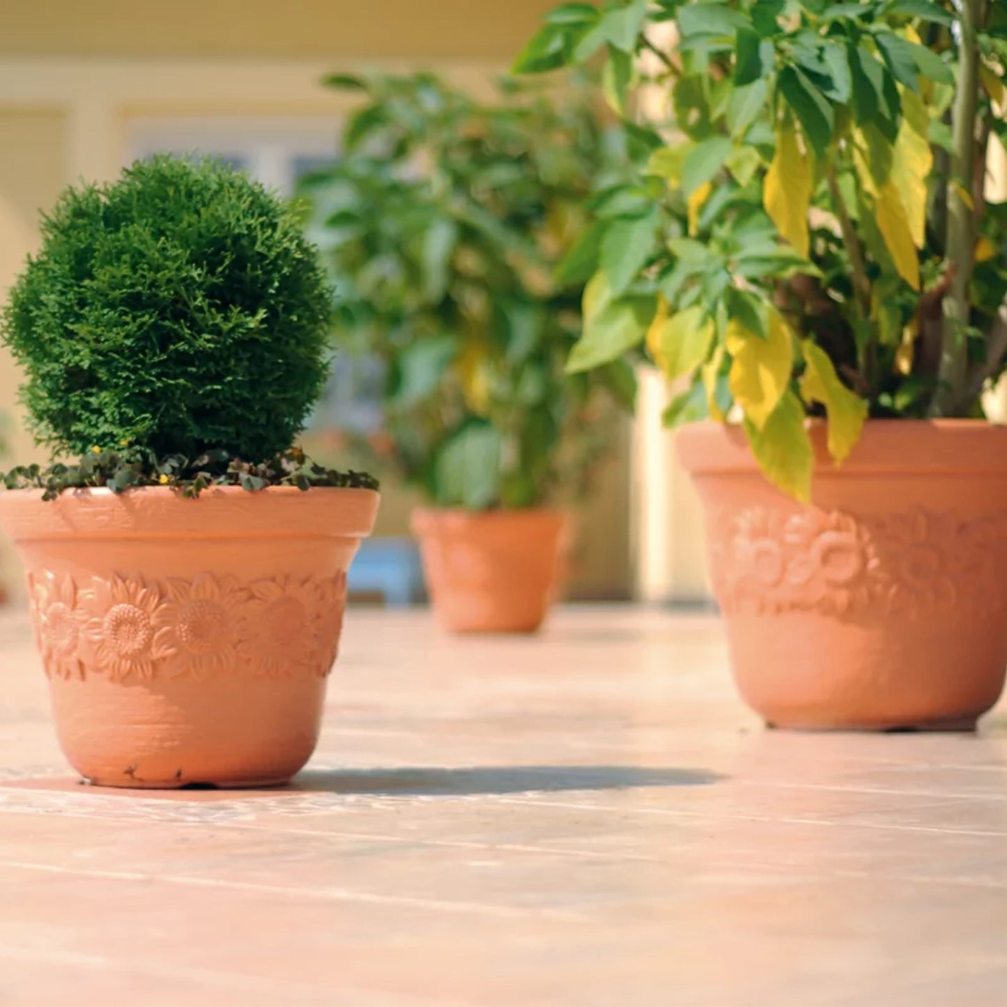 Maceta Sunny 22l., Dimensiones (mm) 400x400x307, Color Ladrillo_3