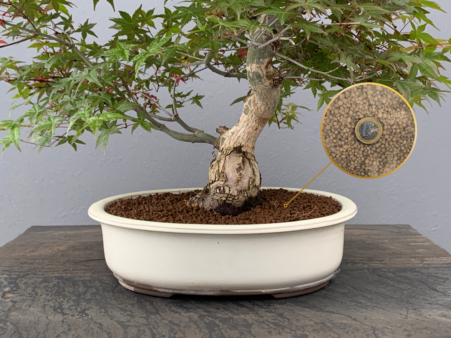 Akadama Ibaraki Hard Quality 14 L Grano Medio 3-6 Mm