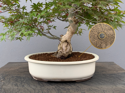 Akadama Ibaraki Hard Quality 14 L Grano Medio 3-6 Mm