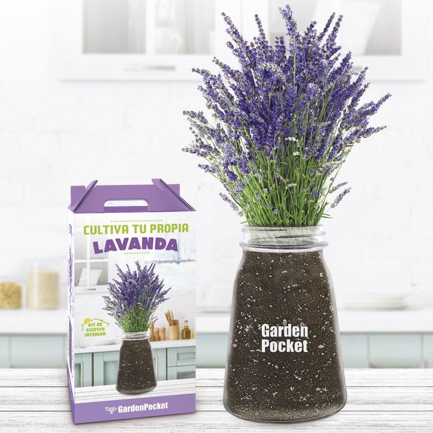 Kit Cultiva en Interior tu Propia Lavanda, Garden Pocket