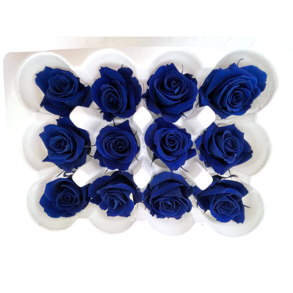 Mundo Eterno Rosas Preservadas 12 Unidades Azul Oscuro 4cm