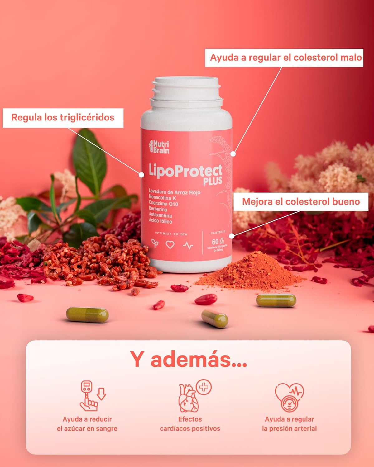 Lipoprotect Plus Con Monacolina K Para Colesterol Nutribrain 60 Cápsulas_3