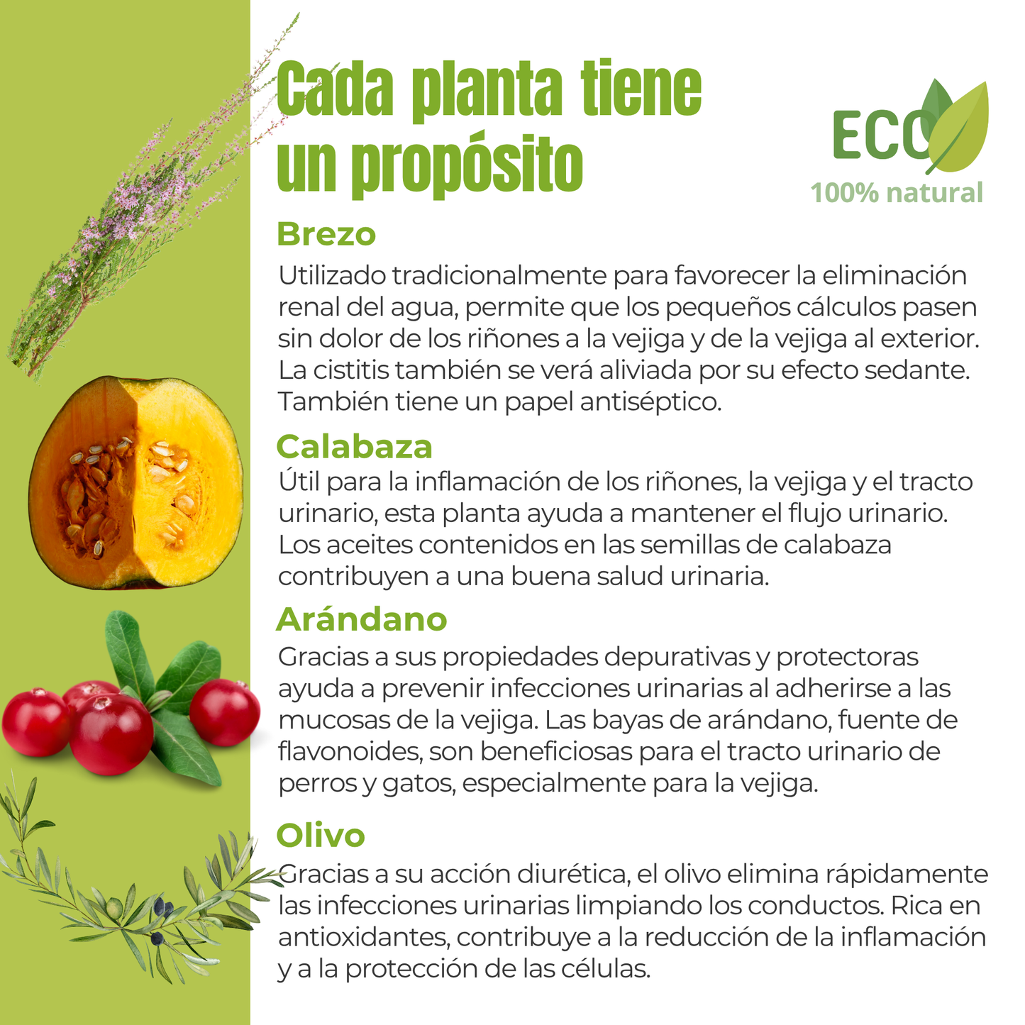 Suplemento natural para perros y gatos – Fórmula Confort Urinario ECO 100 g