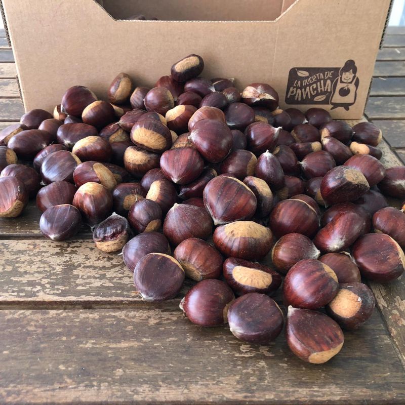 Castañas Directas Desde El Campo 1/2 Kg_1