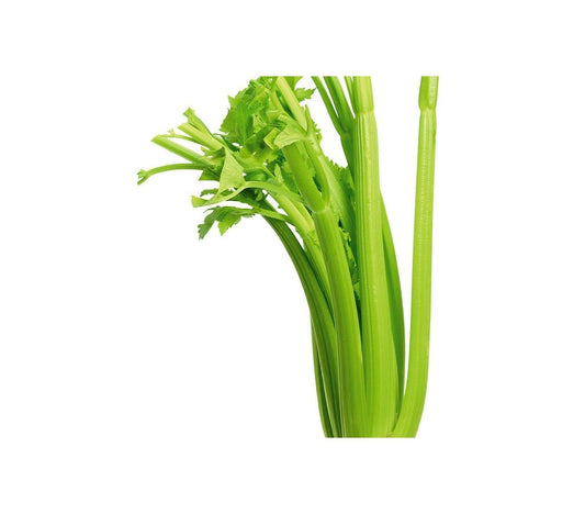 Apio Verde M11 (apium Graveolens)_0