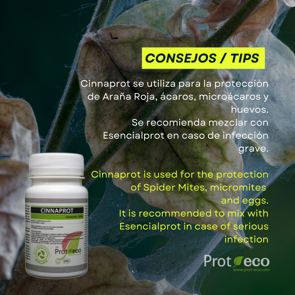 Tratamiento ecológico contra araña roja en plantas Cinnaprot Plus Prot-Eco (30 ml)+pipeta dosificadora 5 ml gratis_2