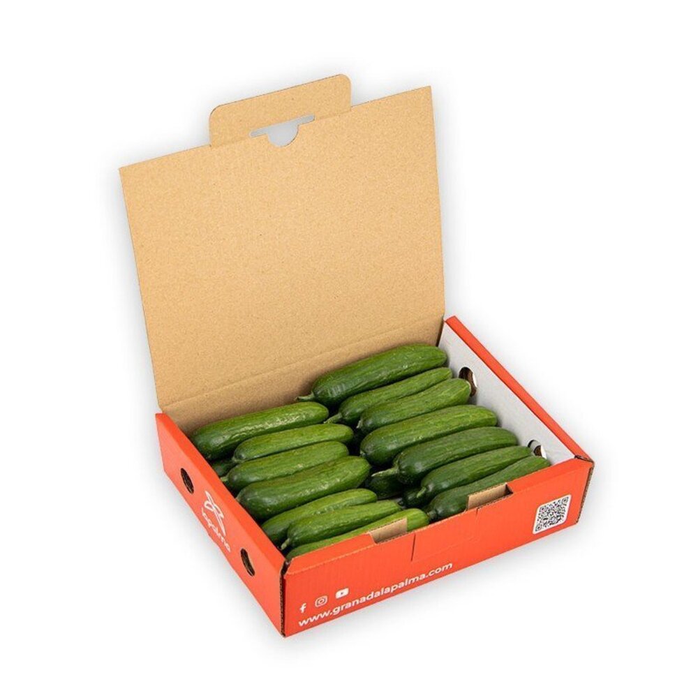 Pepino Cocktail Mycubies 1kg Granada La Palma_4
