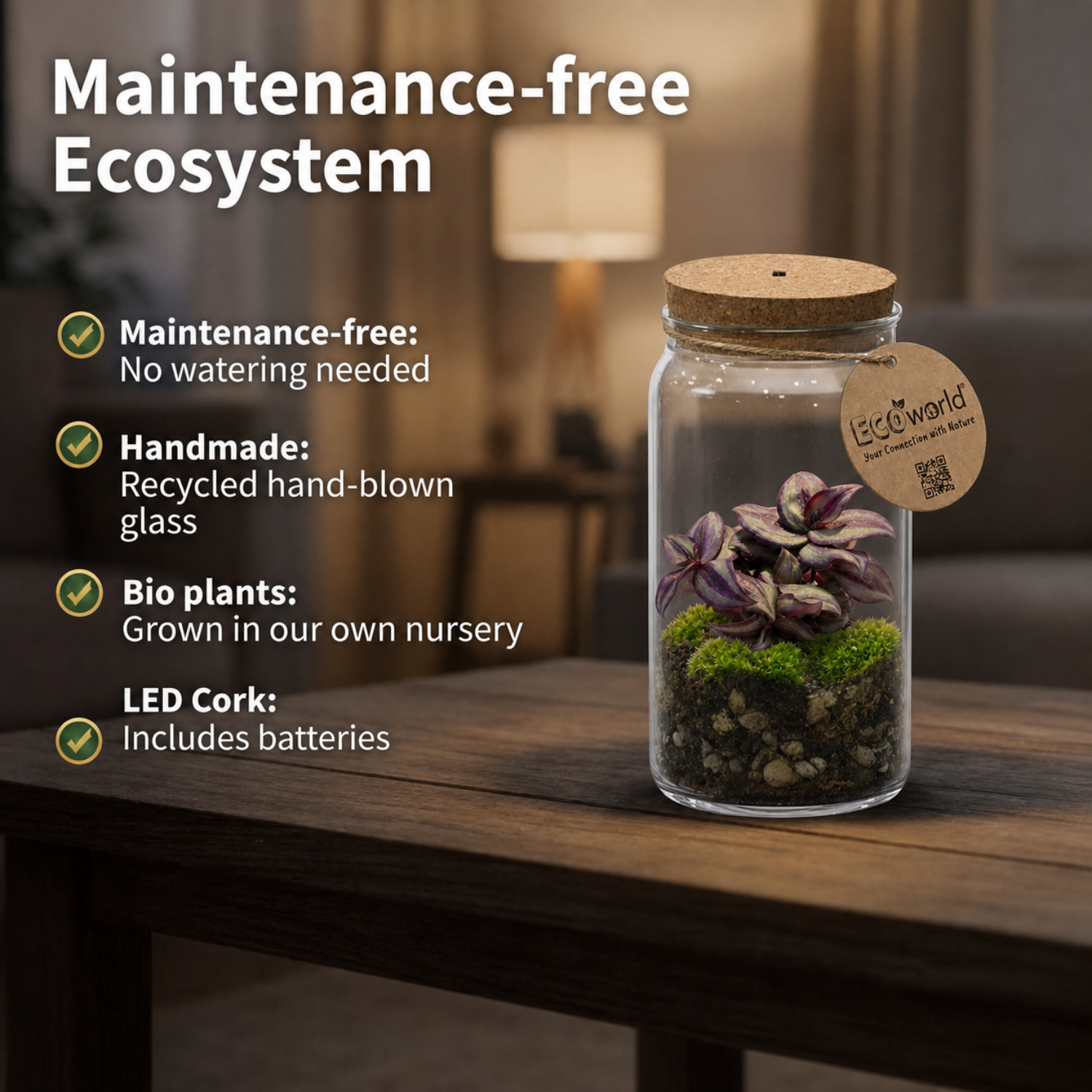 Mini Terrario De Plantas Ø11 Cm - Ecosistema Cerrado En Cristal_2