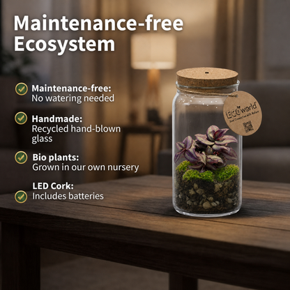 Mini Terrario De Plantas Ø11 Cm - Ecosistema Cerrado En Cristal_2