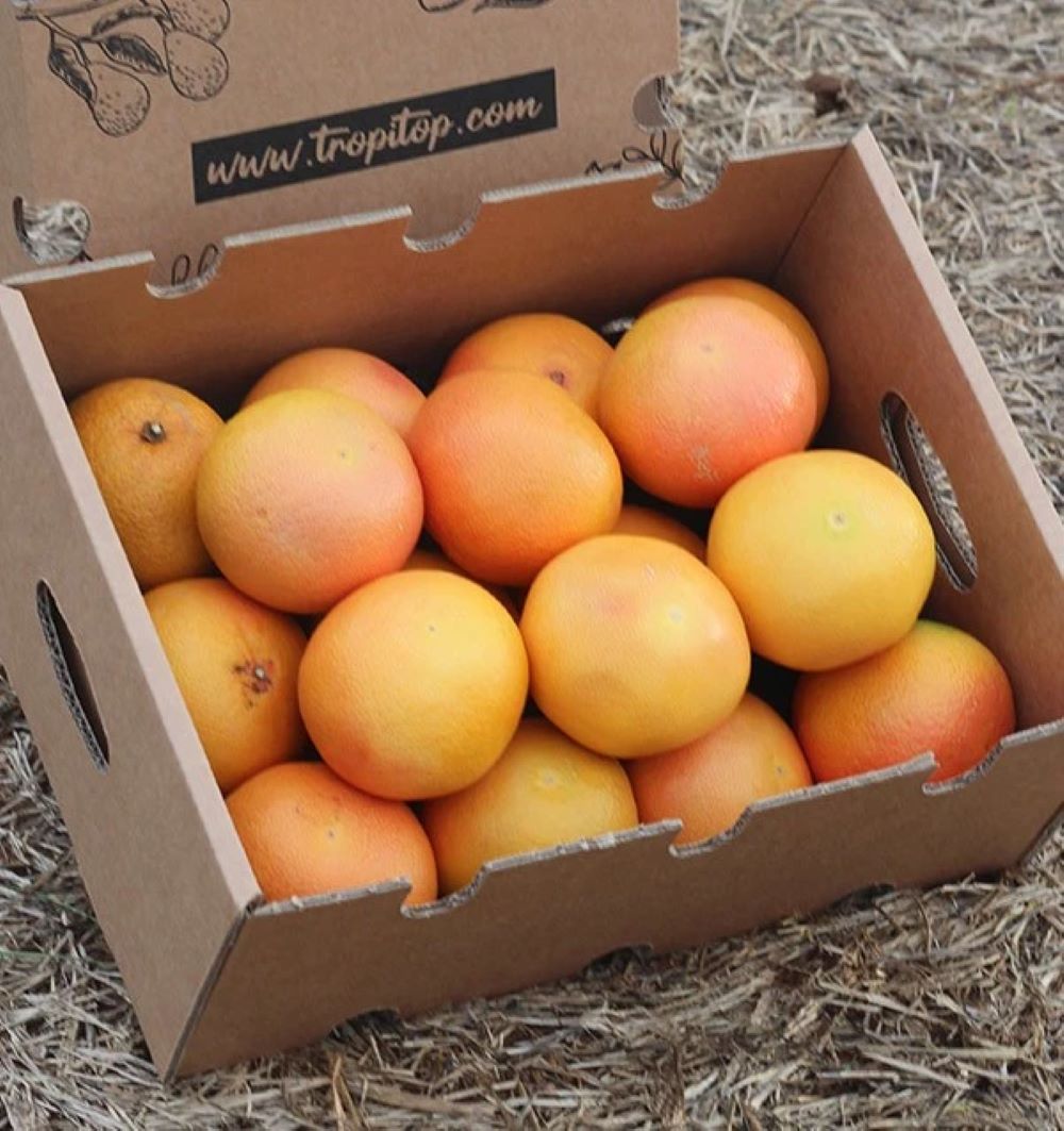 Pomelos Rojos Star Ruby Valencianos Tropitop 9kg_3