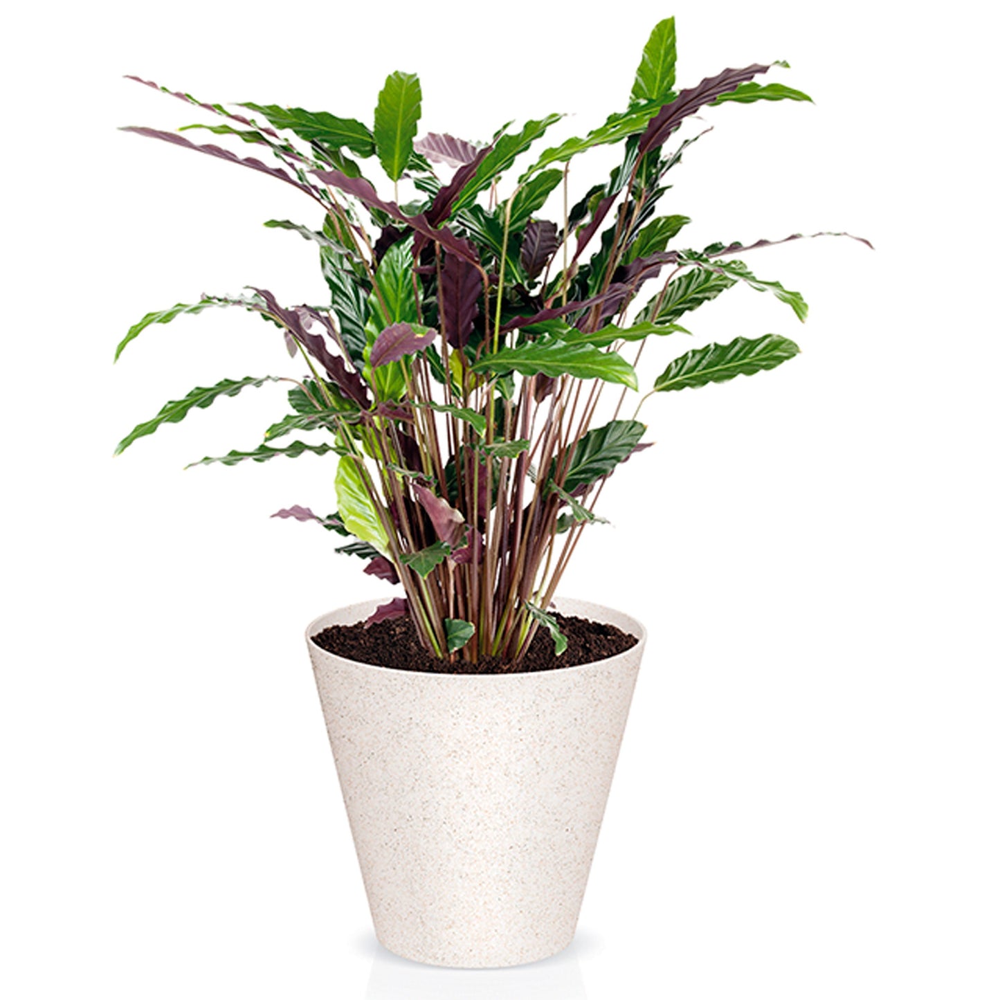 Macetero Redondo,sin Depósito, De 20x20x18,7 Cm, Capacidad De 3,5 L.