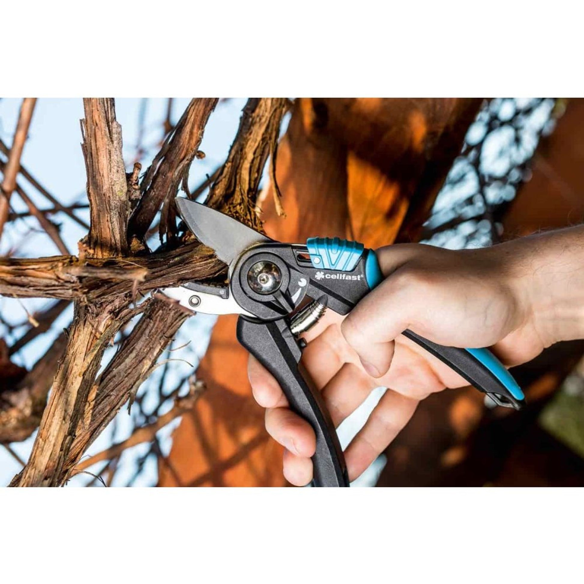 Tijeras De Podar Ergonómicas Amboss: Corte Preciso Y Sin Esfuerzo_1