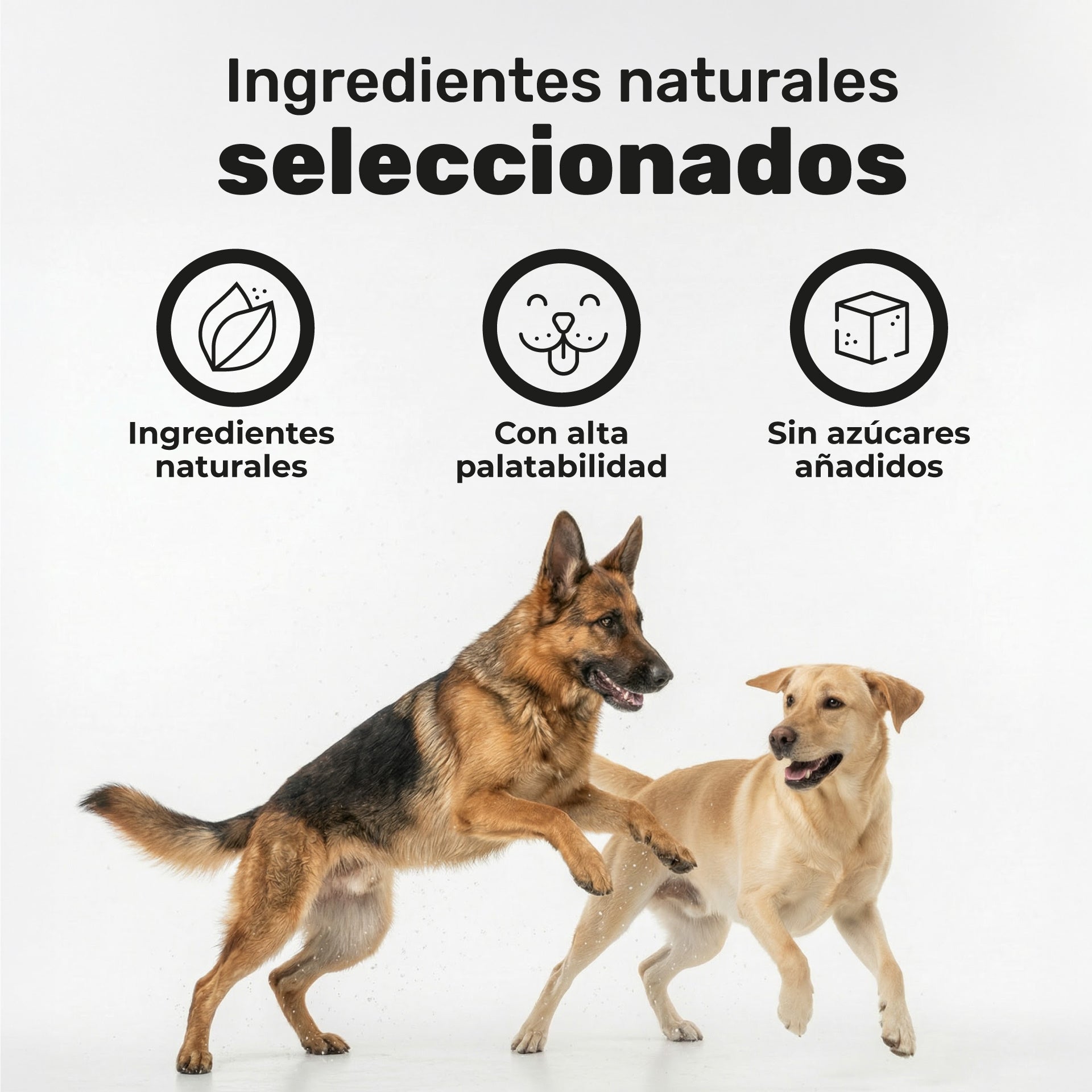 Pack Calma + Condro + Probiotico + Salmon Para Perros. Suplementos Mascotas. 480 Masticables. Natuva Pets_4