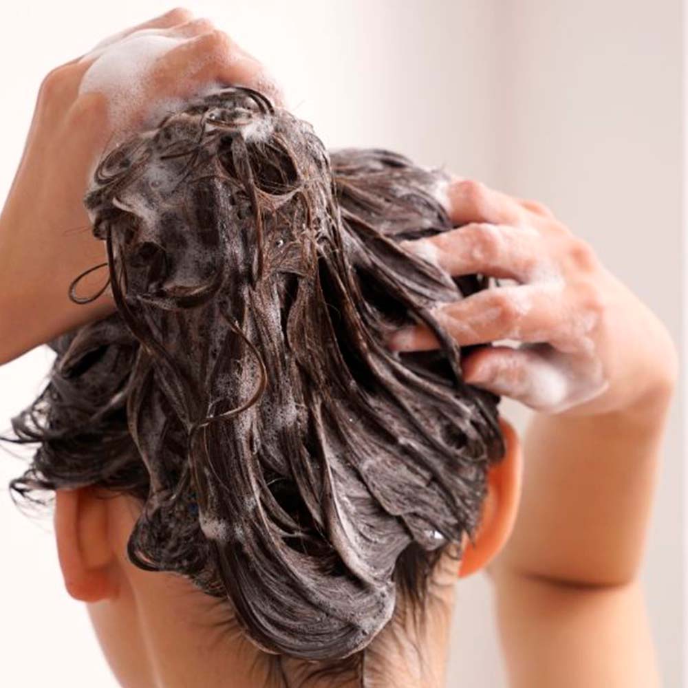 Pack 2 Champú Sólido para Cabello Fino - 100% Natural - Aporta Volumen, Brillo y Suavidad - Con Manteca y Polvo de Cacao_2