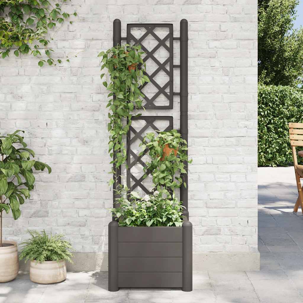 Jardinera Con Enrejado Pp Gris Antracita 43x43x142 Cm_2