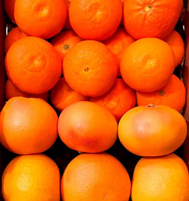 Mix Mandarinas Clementinas Y Pomelos Rojos Valencianos Tropitop 4kg_3