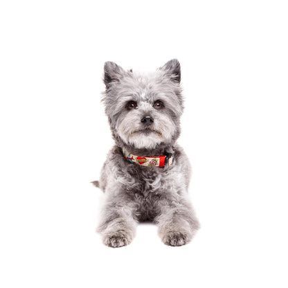 Collar para perro Tattoo Dukier L