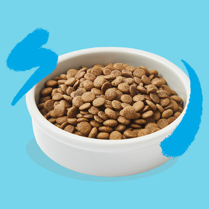 Pienso para gatos Salmón Fresco Edgard & Cooper 4 Kg