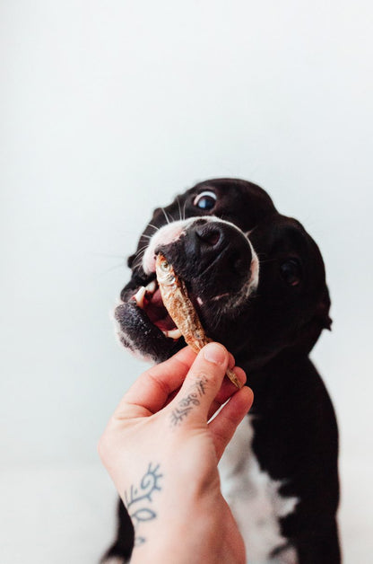 Bimordiscos Pescados Deshidratados Para Perros Y Gatos · 250g_3