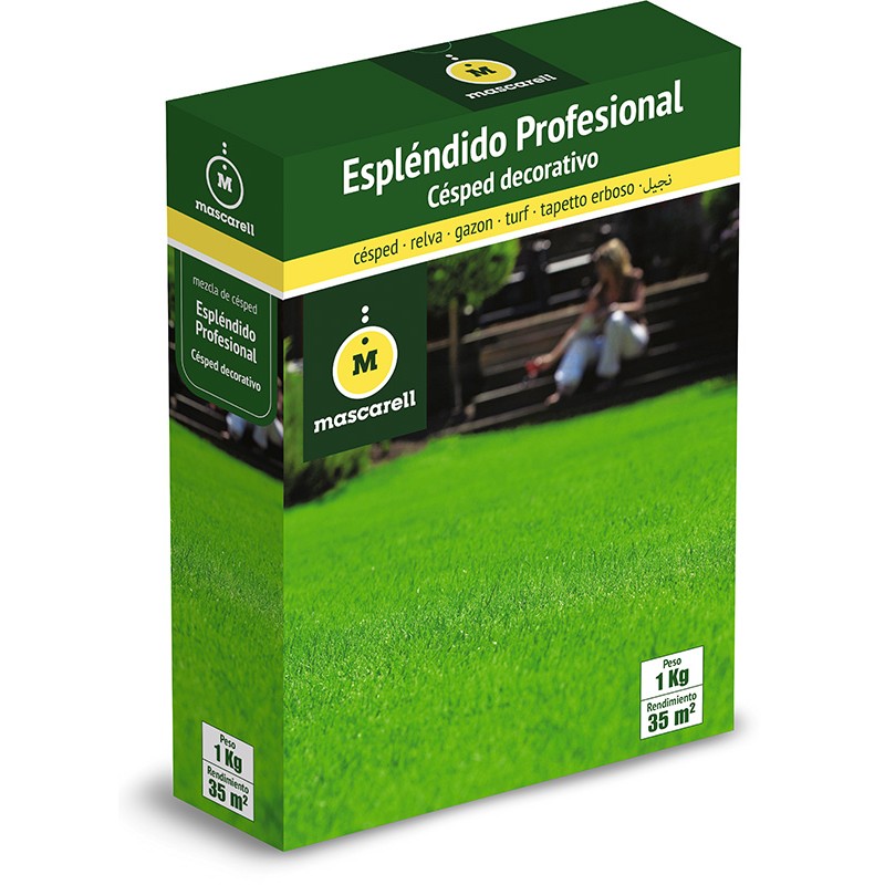 Césped Mezcla Espléndido Profesional
