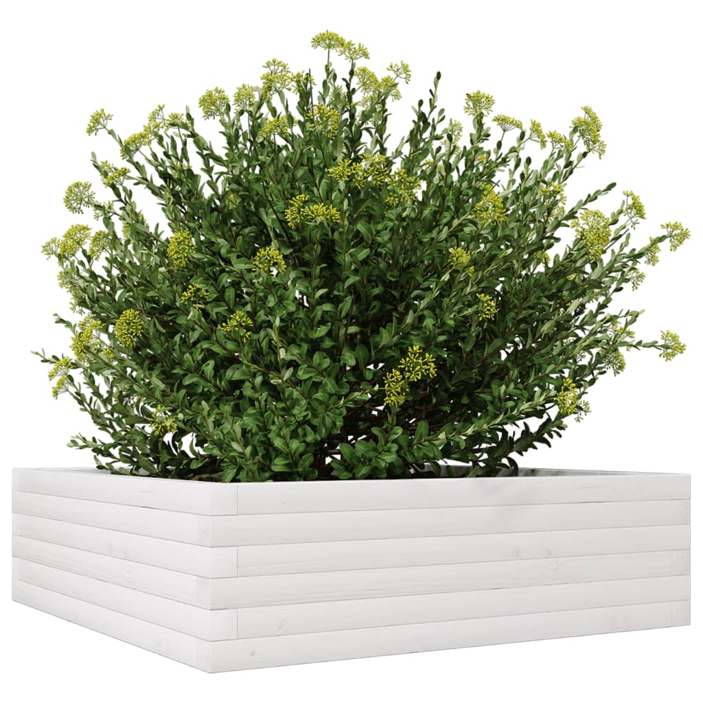 Jardinera De Madera Maciza De Pino Blanca 80x80x23 Cm_3