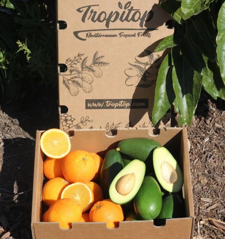 Caja 4kg Mix Aguacate Bacon Y Naranjas Valencianas