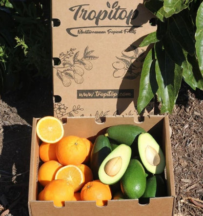 Caja 4kg Mix Aguacate Bacon Y Naranjas Valencianas