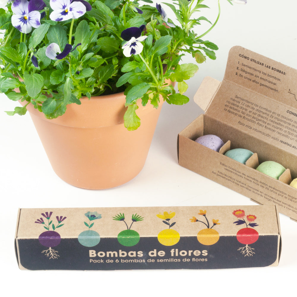 Pack 6 Bombas De Semillas – Flores Silvestres | Regalo Original Y Sensorial_1