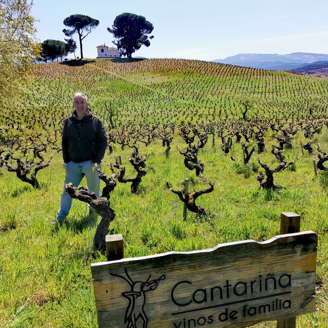 Vino Blanco - Cantariña 4 La Blanca - 2020 - Bierzo_1