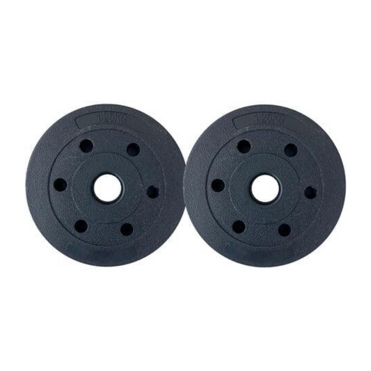 Discos De Pesas Perpetual 1.5kg (2 Unidades) Orificio 25mm_0