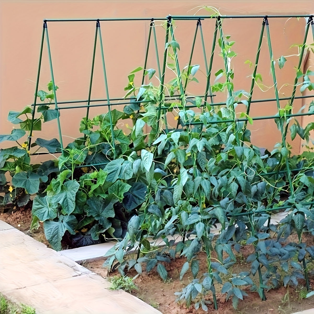 Soporte Enrejado Trepadoras 120x120 Cm Nyana Garden | Estructura En A | Huerto Y Jardín_4