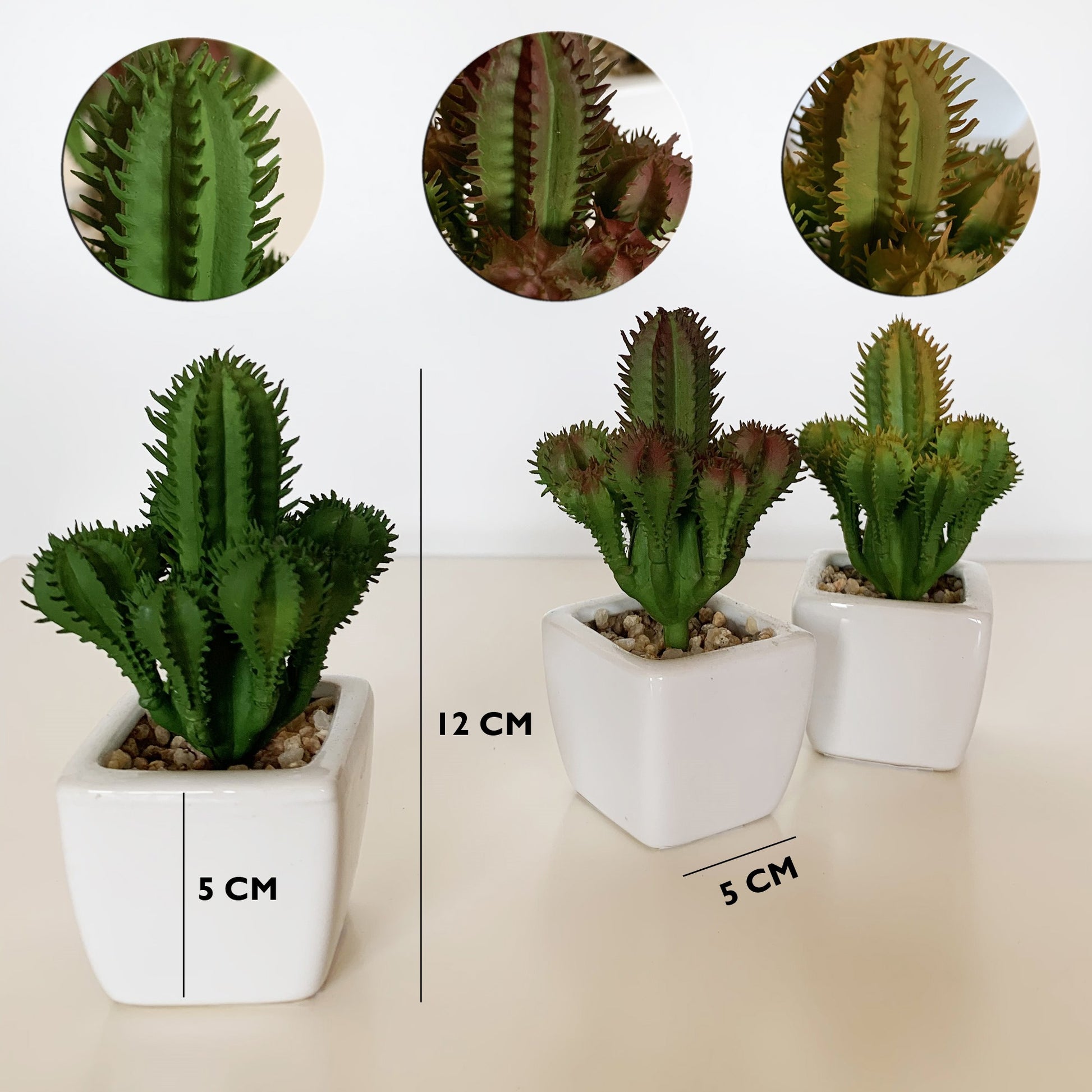 Pack 12 Cactus Cardon Surtidos Artificiales Con Maceta De Ceramica_1
