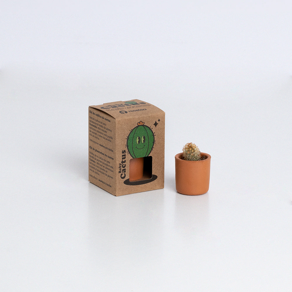 Baby Cactus | Kit De Cultivo De Cactus Con Maceta De Barro Artesanal_2
