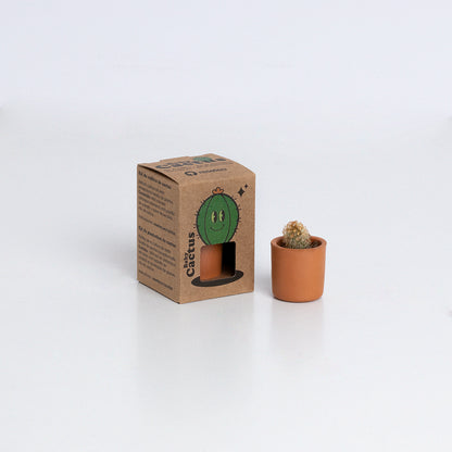 Baby Cactus | Kit De Cultivo De Cactus Con Maceta De Barro Artesanal_2