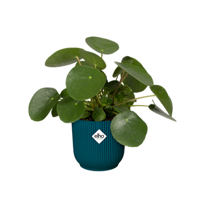 Macetero vibes fold round deep blue Elho 18 cm