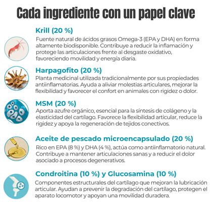 Suplemento natural para perros y gatos – Condroprotector Movilidad & Articulaciones ECO 100 g