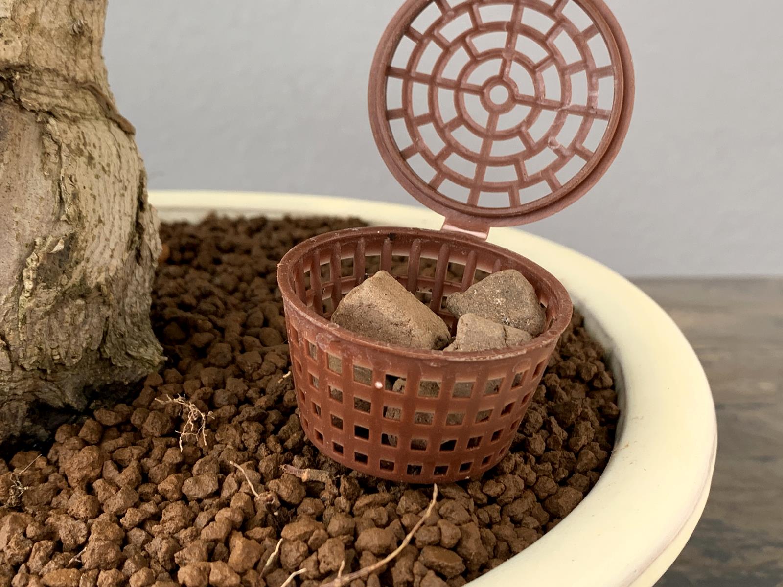 Abono Japonés Especial Para Bonsái Biogold - 900g