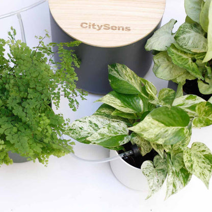 Kit De Riego Por Goteo Citysens Con Depósito Antracita Y 12 Goteros